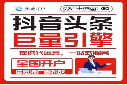 SEM托管公司案例分析：实战技巧全解析